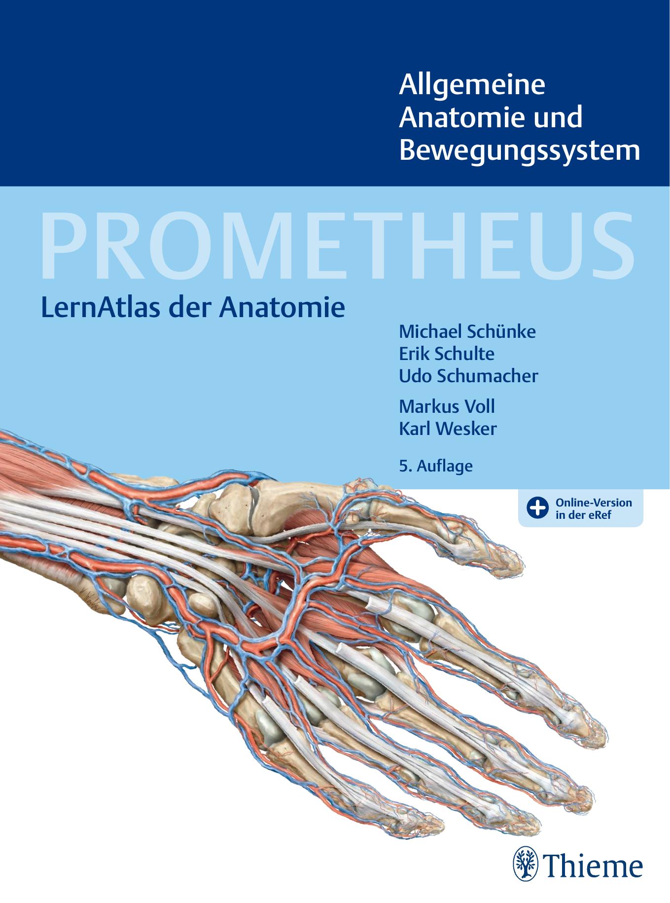Prometheus LernAtlas der Anatomie - Allgemeine Anatomie des Bewegungssystems