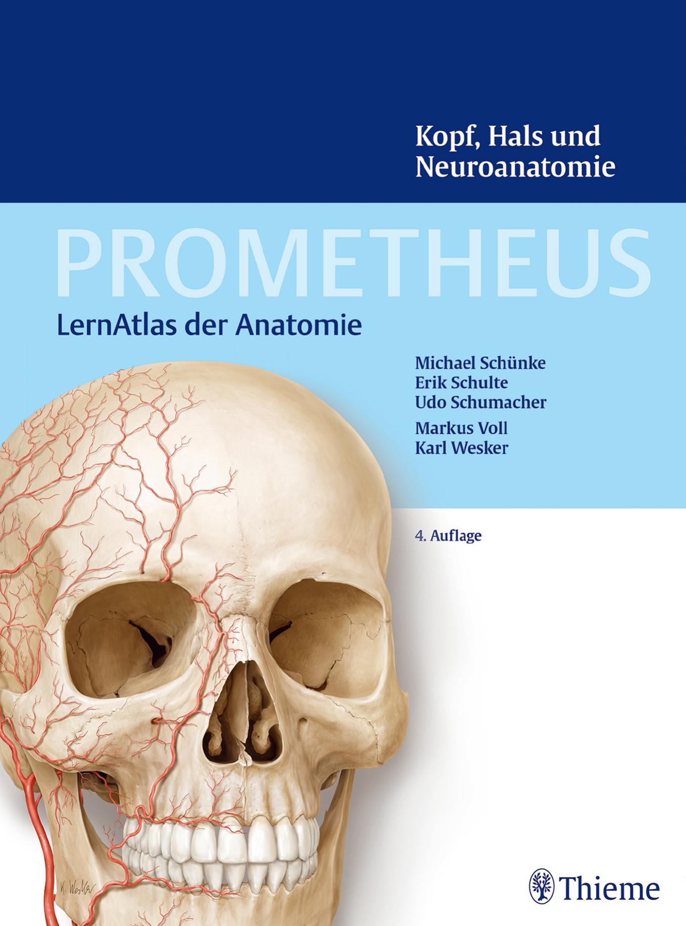 Prometheus LernAtlas der Anatomie - Kopf, Hals und Neuroanatomie